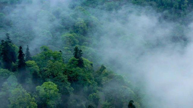 沿海多地海水倒灌现象分析与应对策略